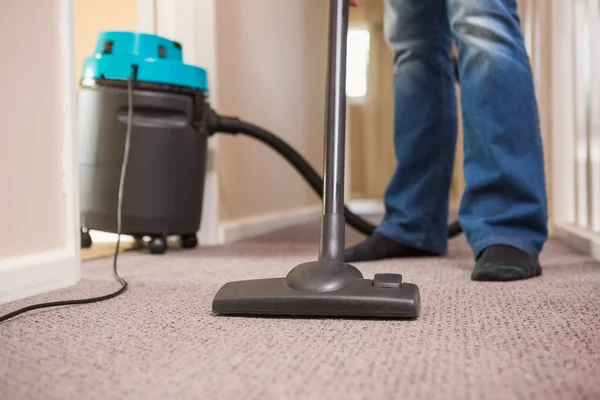 Area rug cleaning service